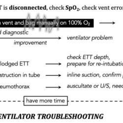 Ventilator high peep causes lindsey trouble presented lily shooting alarms james ppt powerpoint presentation additional pressure