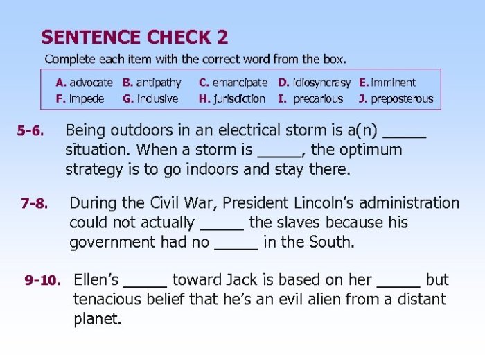 Chapter 3 sentence check 2