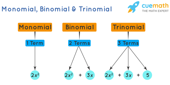 Which of these could not be a monomial