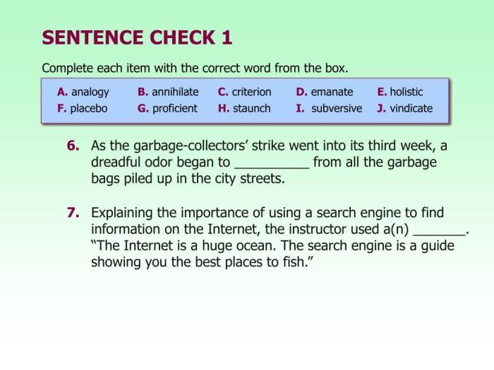 Chapter 3 sentence check 2