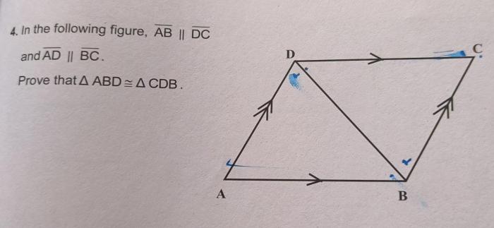 Prove triangle abd is congruent to triangle cdb