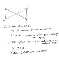 Triangle congruent